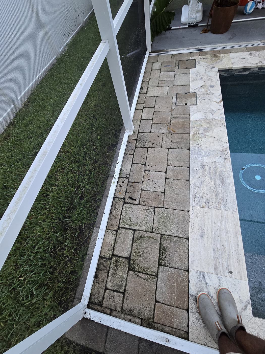 Travertine pool coping and paver walkway in Tampa before natural stone sealing, dulled by dirt and algae