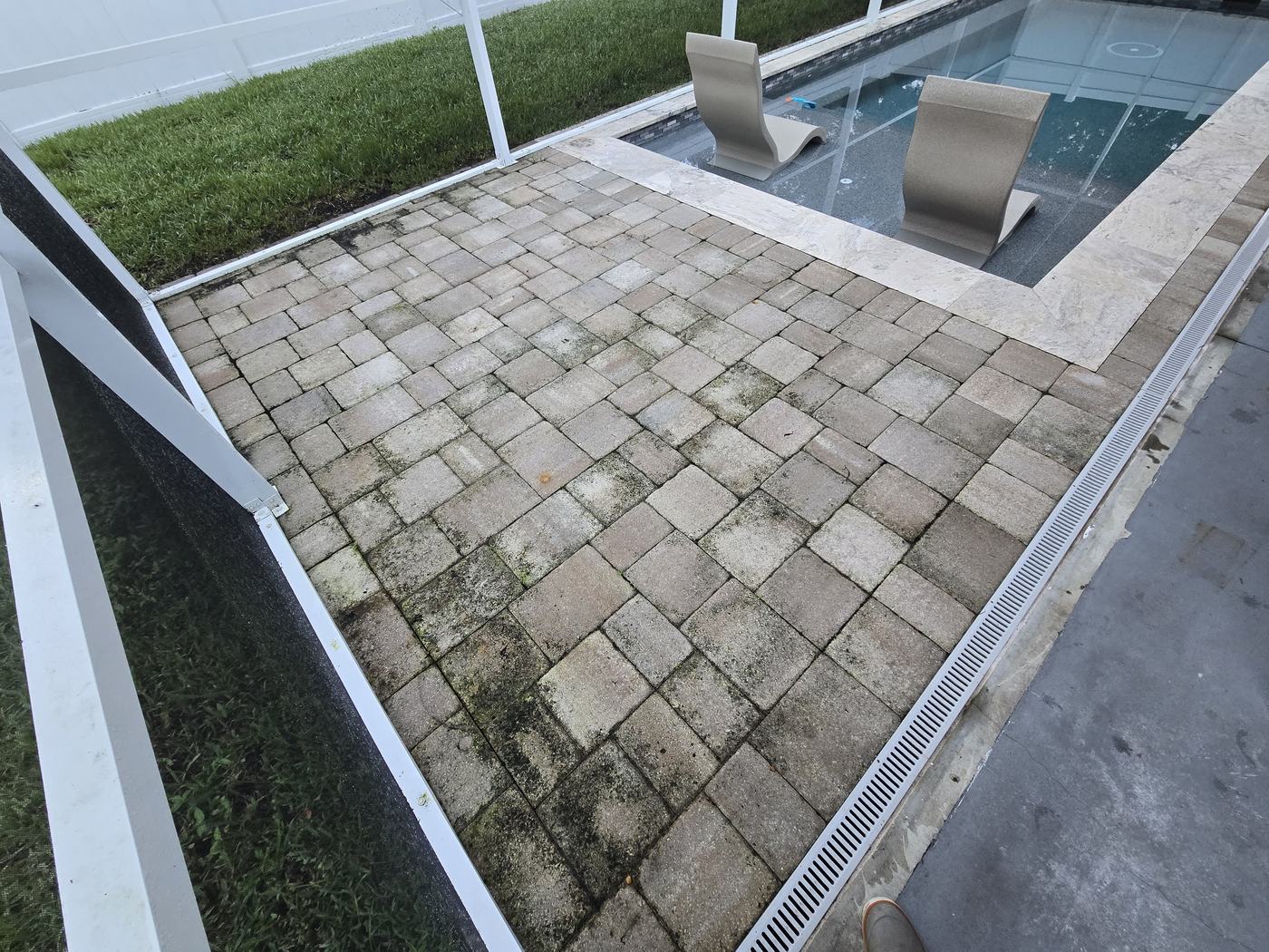 Screened pool deck pavers in Tampa covered in green algae and moss before paver cleaning